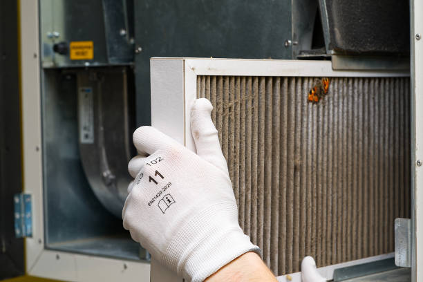 Best Home Air Vent Cleaning  in Audubon, IA