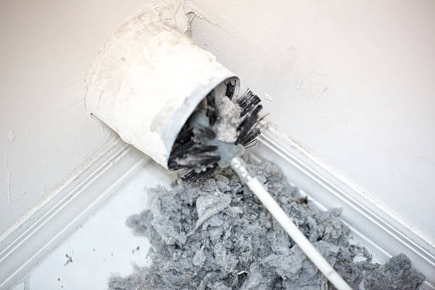 Best Dryer Vent Cleaning Services  in Audubon, IA